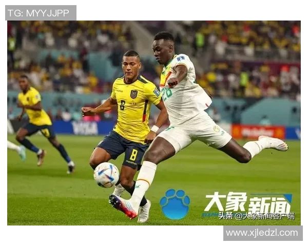 仁川大象2vs对决精彩回顾与分析揭示球队未来发展潜力与挑战